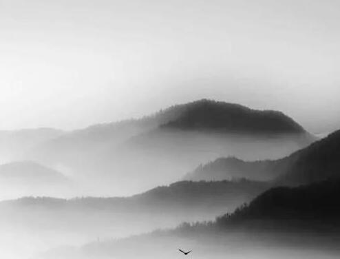 �Ƶ������ĸ��������ˣ��Ƶ������Ϻ�����