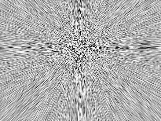 ��ֲ��ë������ë����ֲ��ȫ��