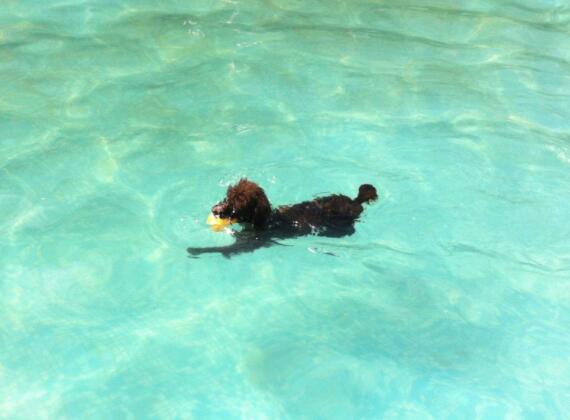 ̩��ѧ��Ӿ���𣿹��Ȯ̩�ϻ���Ӿ��