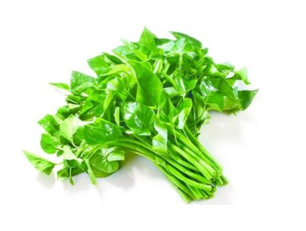 ���Ĳ�ͨ���Ŷ��ô��࣬С�ĳԿ��Ĳ˽���