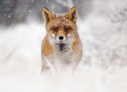 �����廪˶ʿ͵��Ů�ԣ�����͵��Ů��ȹ�ױ�ץ����