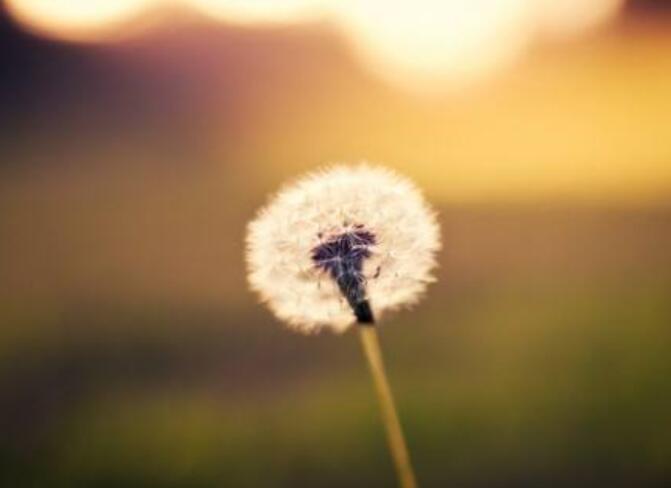 ��Ѫħ�������ң�����������������ô���£�