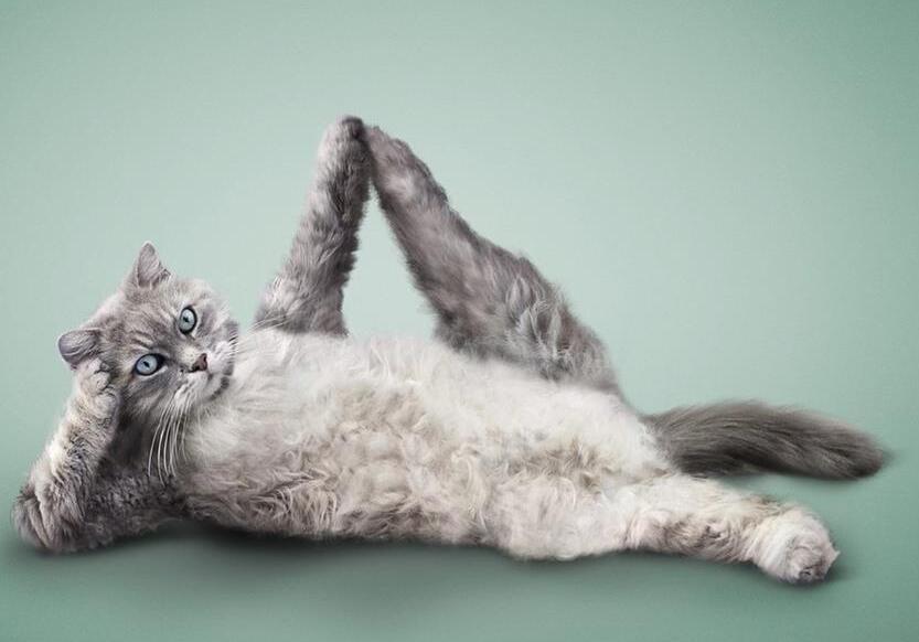 ����ʡ��������ѧ��ʷ����,����ӱ�Ȥ��ը��ѧУ��