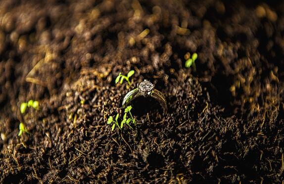 ������԰Ϊʲô���գ�������԰��ɶ���Ծ����ץ