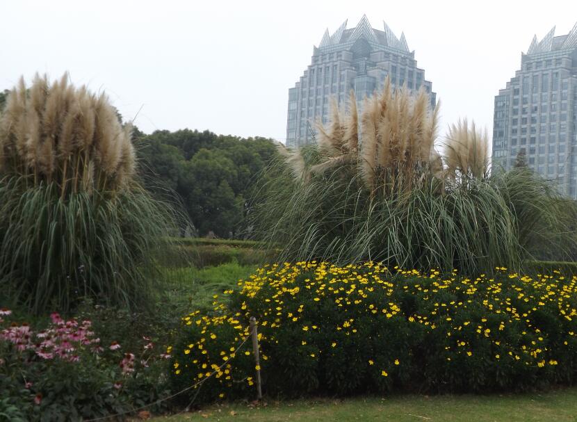 ���ʼ���ҩ������������?�����º鲩���¼�