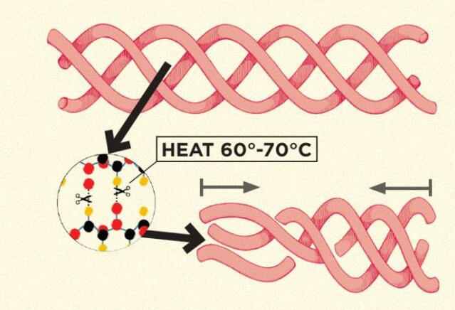 ��������δ������,����沿˥�ϻ�����Щ��?