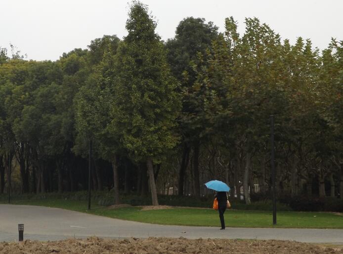 ��ӱ�ռ����������ӱ�ռǱ���������Ű��