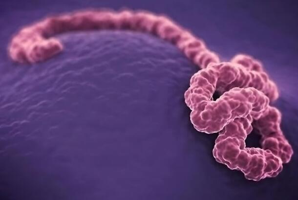 ���޸չ����������鱬������������Ϊȫ����������¼�