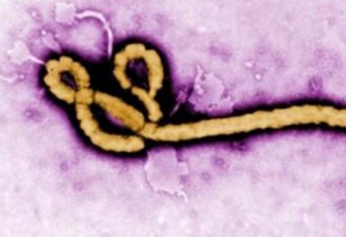 ��������������;��,���������ˮ�ɷ���������ҥ��