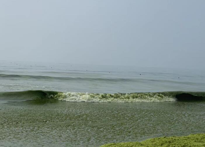 ���������Ʋ��麣���ֹ�˾,ԭ������ʽ���ʯ��