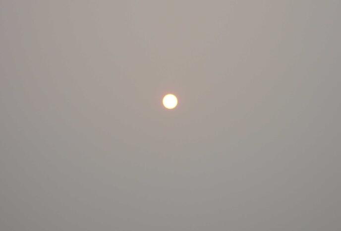 ¡����������������֢,����������������ȫ���ٻ�