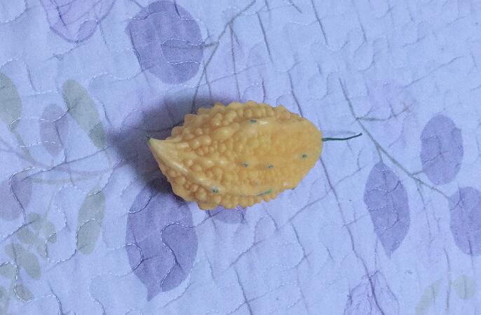 ������������˾ȫ���ٻأ�¡������ﾹ�방֢�й�