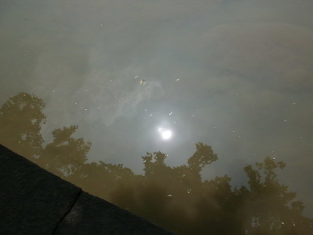 ��Ԩ�����Ӳ���������ۺ�֢���������ۺ�֢