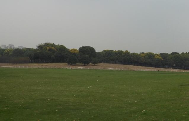 ������������������¼���ʲô���������¼���