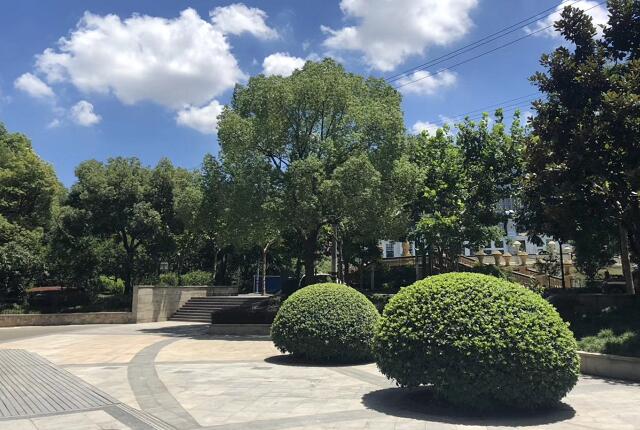 �ɶ��½������ױ���Ժ���ҩ,��ʿ�����и�ҩ