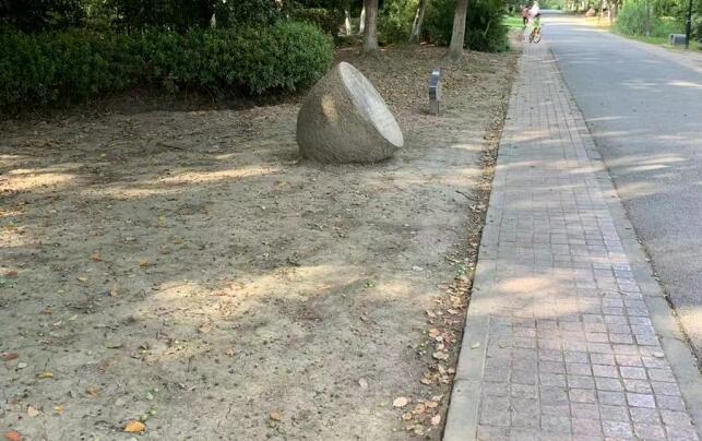 ����ײ�˻�ɡ����,�����汣ʱ��Ů˾��