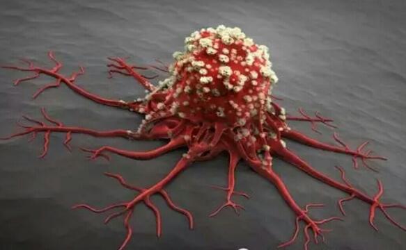 �ұ�����������ư�֢����ҩ�����ѱ���Ч������·