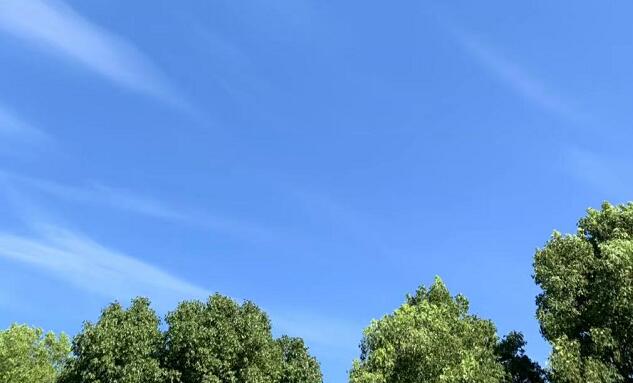 ��Ƨ������۳�ķ��ϼ���Ķ������,���ϼ������