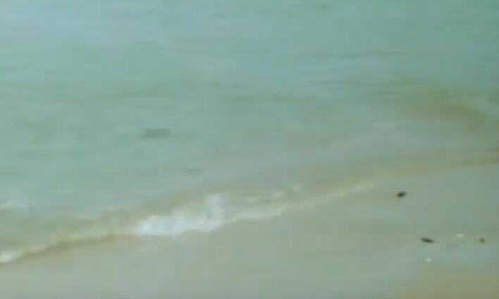 �Ȼ�����ë,�ʹ���ë�ͼ�����ë�۲��ۣ�