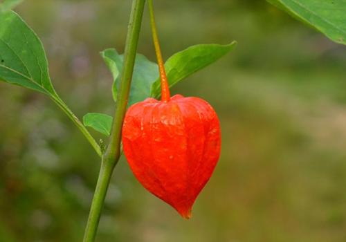 �����ݵĹ�Ч������,�������ж���