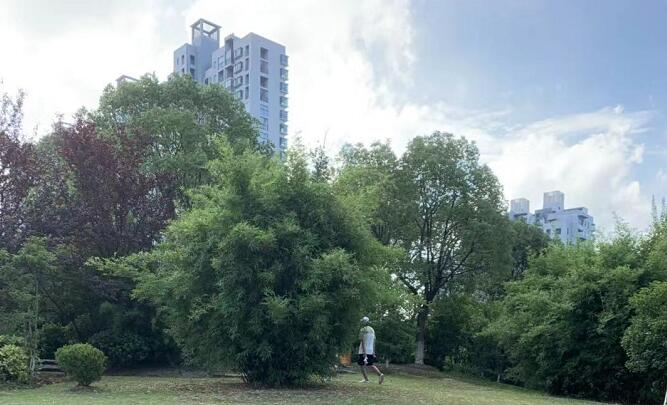 Ů��������