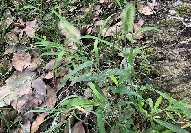 ����Ҫ�����Ĵ�ԭ��,������ʲô����?