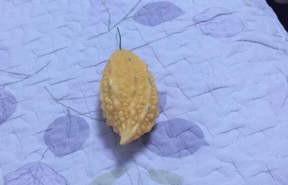 ���Ĺ��Ĺ�Ч�����ã��и��ܳԺ��Ĺ���