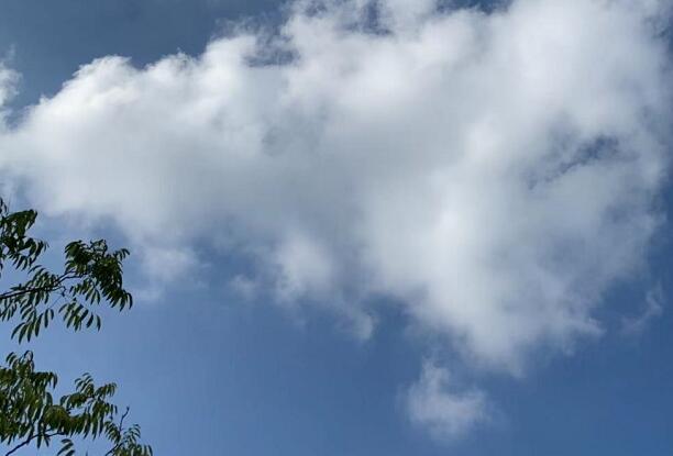 ��β��cp΢����������,������Ԥ�Է�����