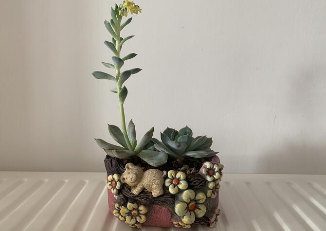 ҽ��˵��ȩû��ô�ֲ����·�װ����ô����ȩ��