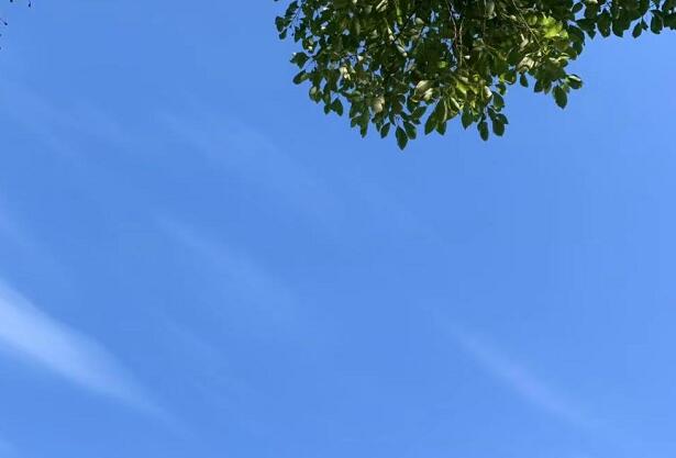 �廪�����ʡ�������,������������ĵĻ�