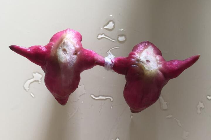 �պϷ۴��ܼ���ʲô�Ǳպ��Է۴̣�