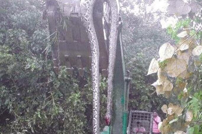 ��ƽ�����¼�,ٳ�ɹ�ƽ�����¼�����ô���£�