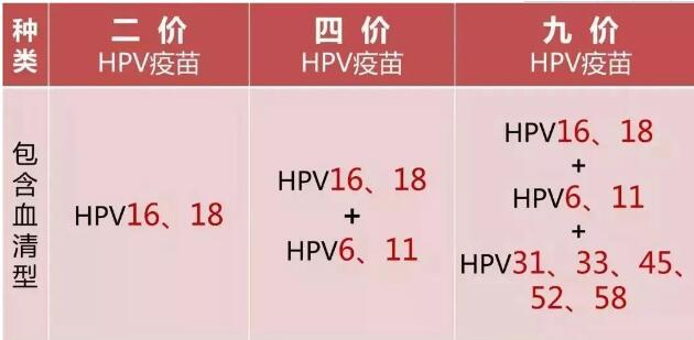 �ż��������Ǯ���ż�hpv�������Ǯ��