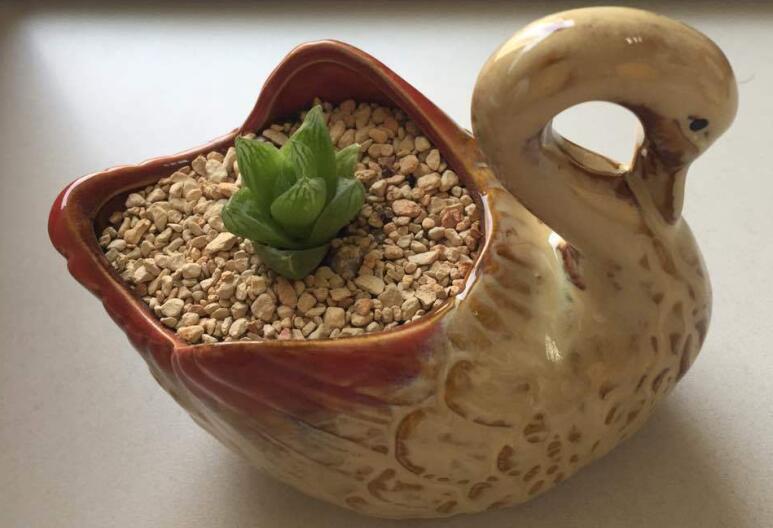 9�ִ���ͼ֮һm����ŷ���Ը�M�ʹ�