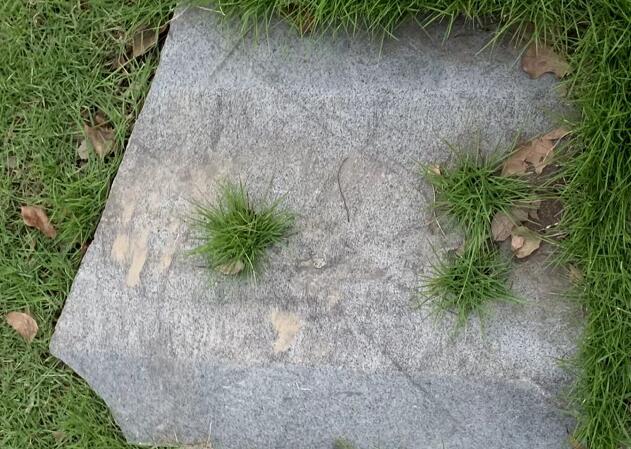 �����⴫������ԭ�������⴫��ʵ�ֲ������