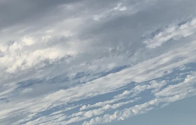 ������Ϊɶֻ������?����ѧ����ѧ�����ԭ��