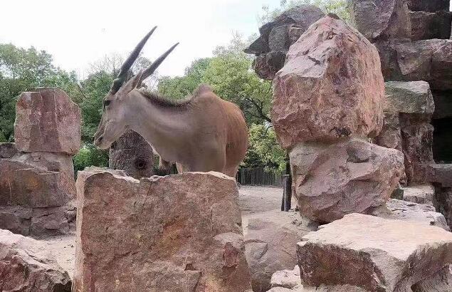 �й�����10�ڶּ�������,��������������