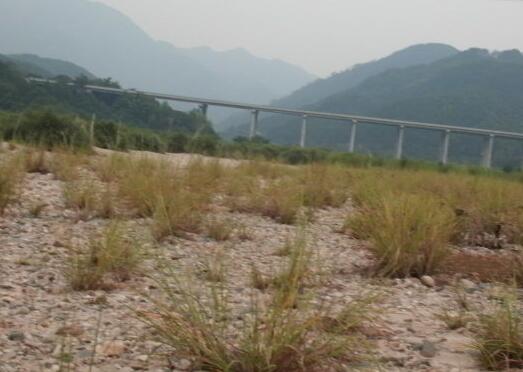 ��ɽҩʲô��˼����������Կ�ɽҩ��ʲô��?