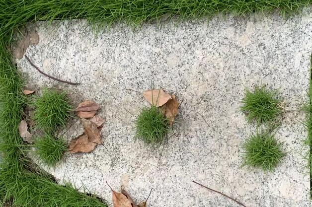 ��������̸��Ǿ��Ĺ�Ч,��ǵĹ�Ч������