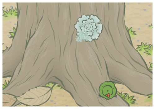 ���Ӳ��ܺ�ʲôʳ��һ��ԣ�������ע������