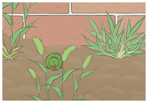 �����Ĺ�Ч�����ü�ʳ�÷���,�������̼�����