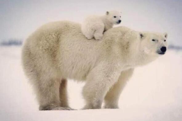 ���������¼�,������������ǿ������ô���£�