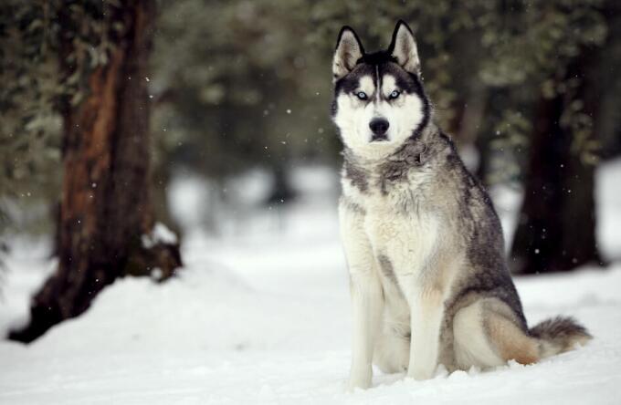 ��ζ�����е�Ů��?��θ����ζ�����ϼ��