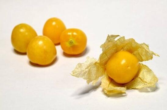 ������Ĺ�Ч�����,�и�Ҫ����