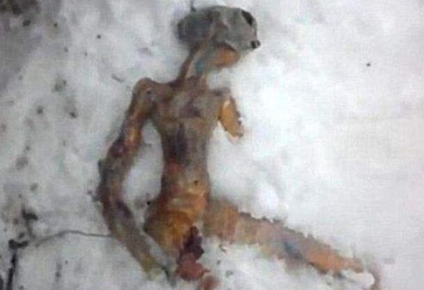 1999������������֤��,1999�걣��Э����ʲô?