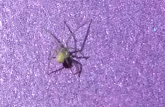 ����ħ��ʲô����?�����˶���ħ��Ĵ�����?