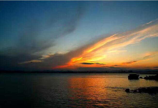 ��ֲ��������ˮ����,����ˮ����ս����ǿ��?