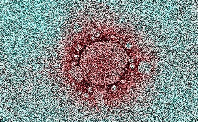 ���ͷ����������ഫȾ��,ͷ����ʲôҩ?