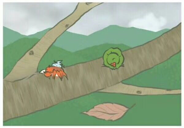 ѩ�����������빦Ч,ѩ�����ܼ�����