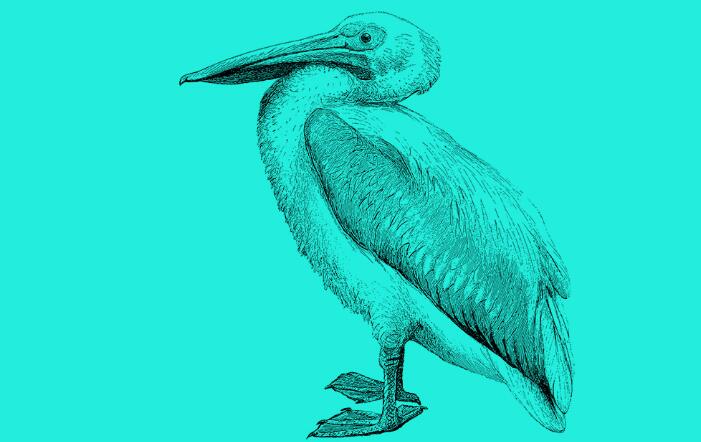 ����ϵ������¼�,����������ˮԭ�滨